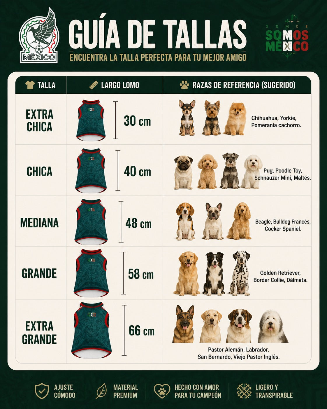Jersey Mundialista™